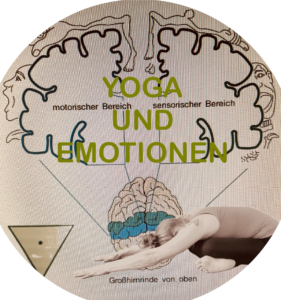 Zeichnung Gehirn, im Vordergrund Foto einer Person in Balasana. Text: Yoga und Emotionen