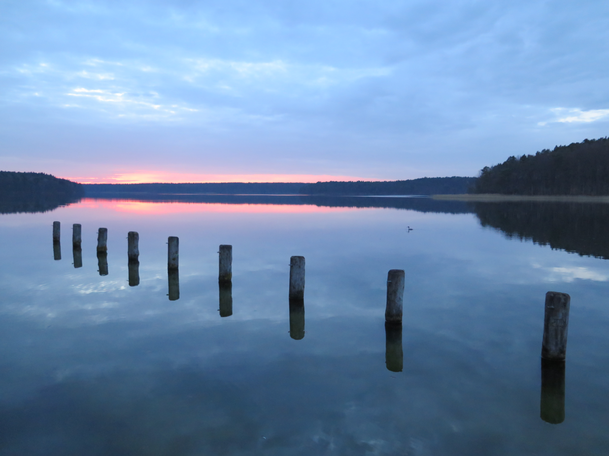 Pfähle im Wasser mit Blick über den See